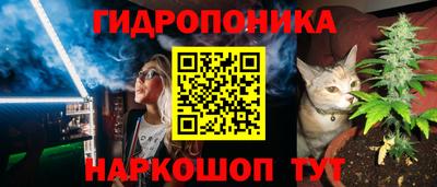 Альфа ПВП Ливны